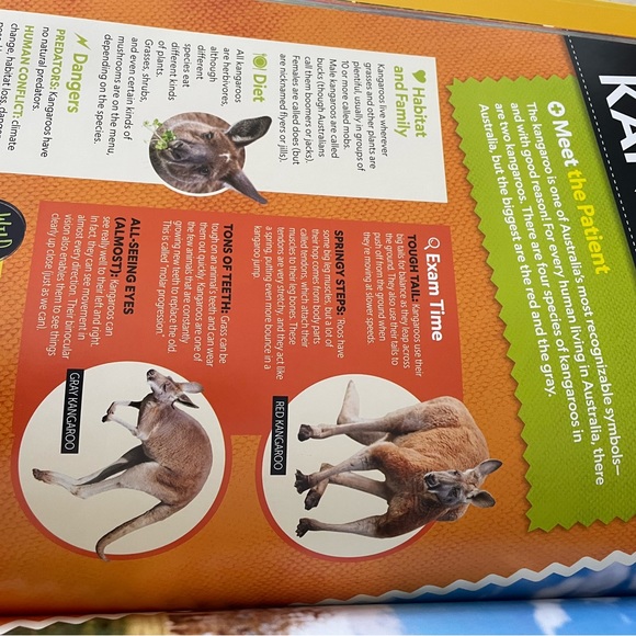 National Geographic KIDS Vet hardcover book - Picture 2 of 3